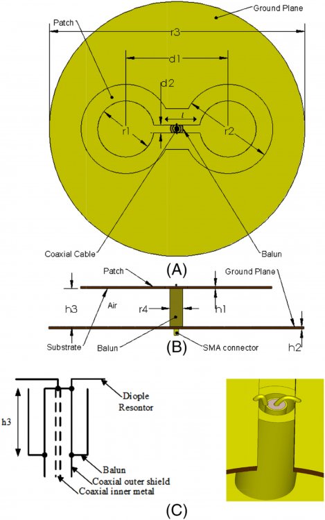 mmce22037-fig-0001-m.jpg